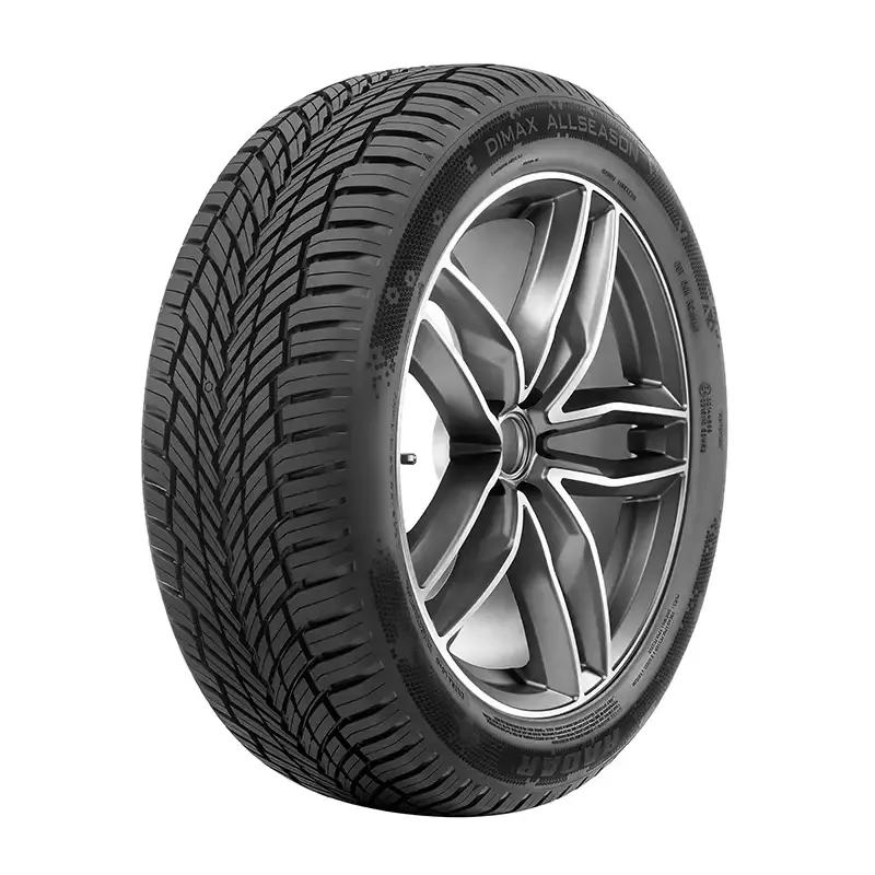 195/65R15 opona RADAR DIMAX ALL SEASON EVC 91H